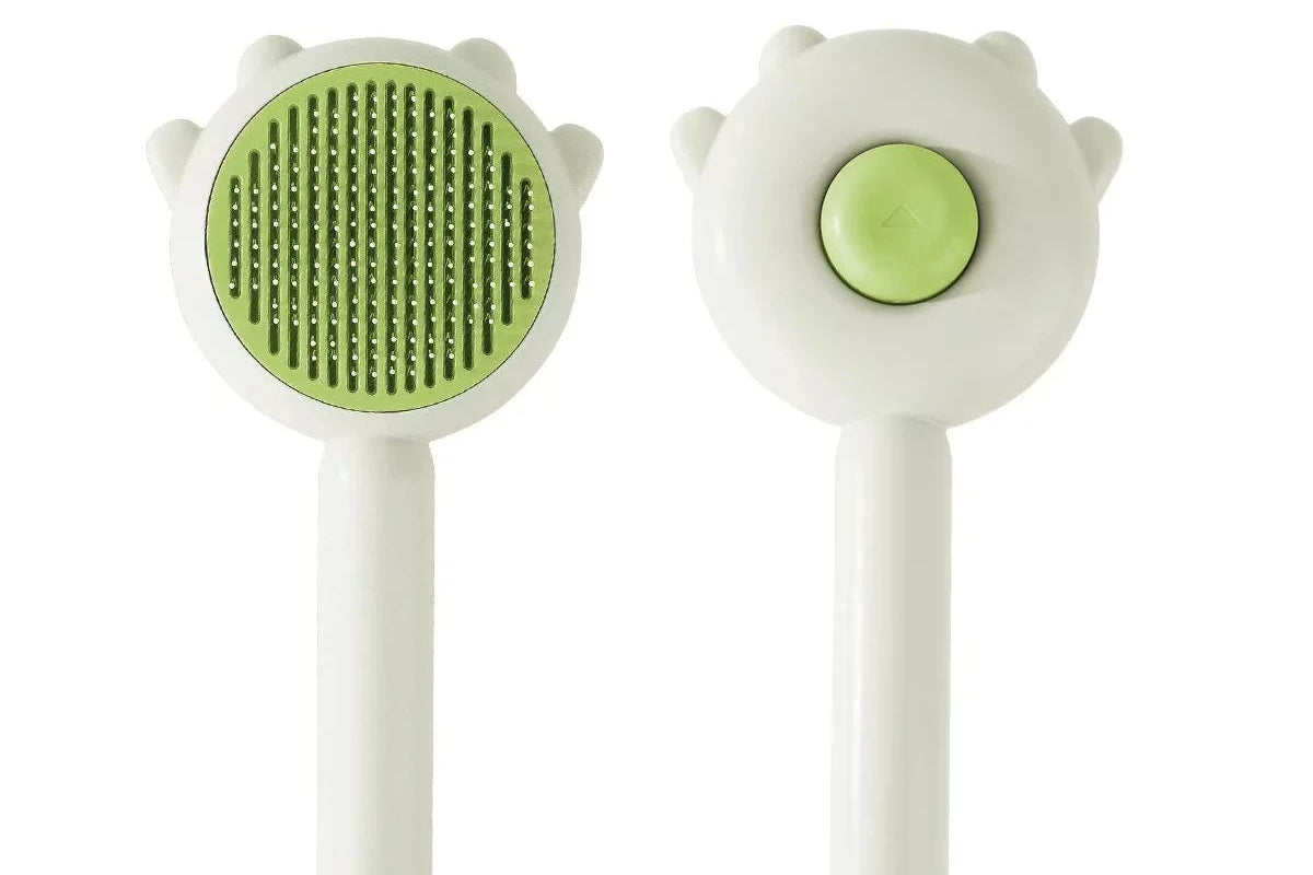 S21fcfbecd9824acf9f50687acd35476fP