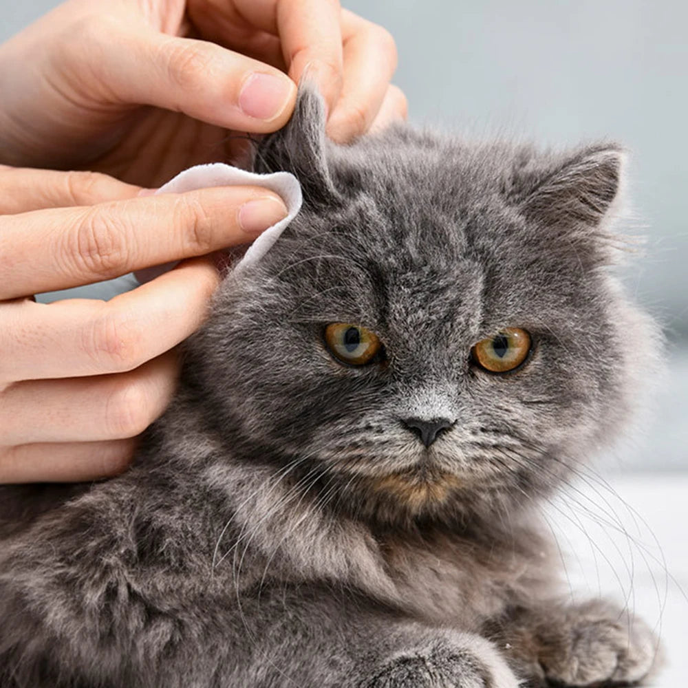 S7d3802d8f4eb487b8da4d504c4cdad683