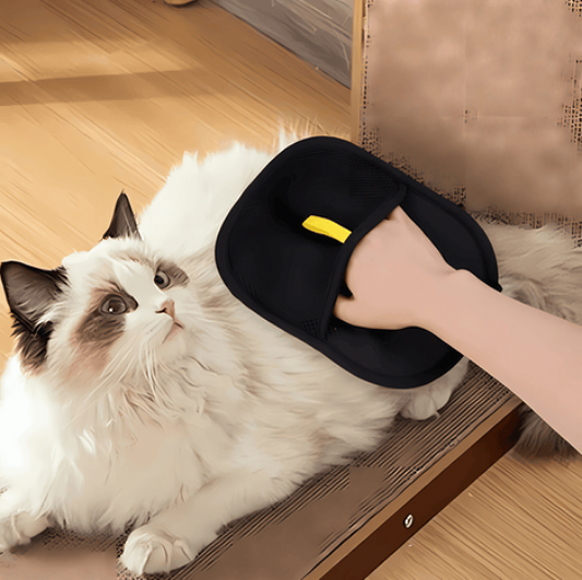 Lint Glove Pet Hair Remover