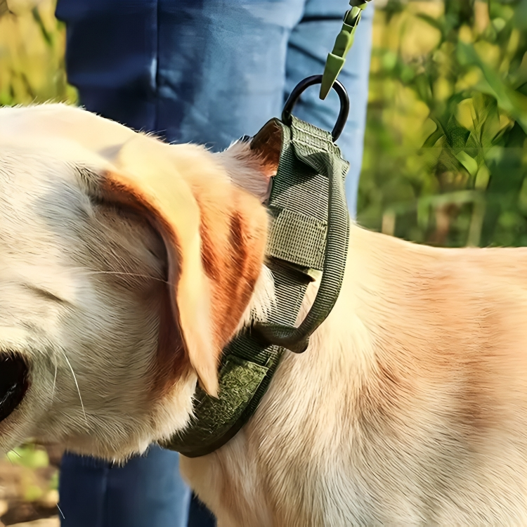 Adjustable Tactical Dog Collar