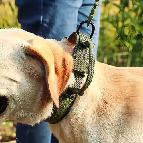 Adjustable Tactical Dog Collar