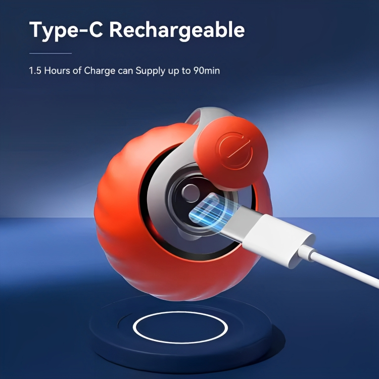 Cats Interactive Ball Toys