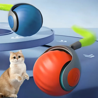 Cats Interactive Ball Toys